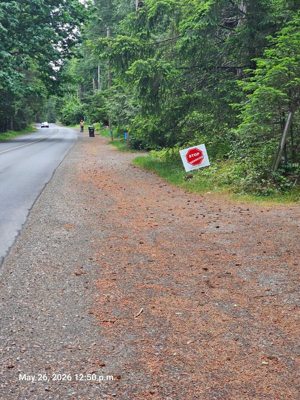 Four Stop Genocide signs visible looking down North Road, Gabriola