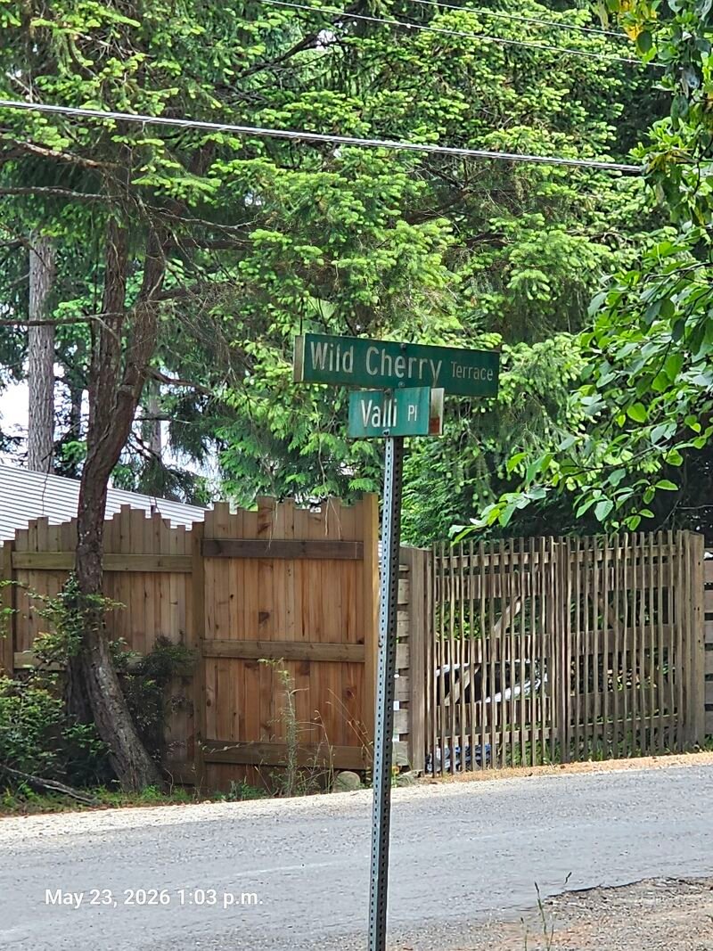 Andy's Stop Genocide sign location on Wild Cherry Terrace, Gabriola