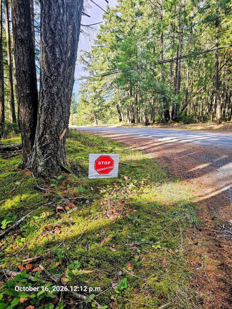 Jeremy's Stop Genocide sign on North Road, Gabriola - sign #131