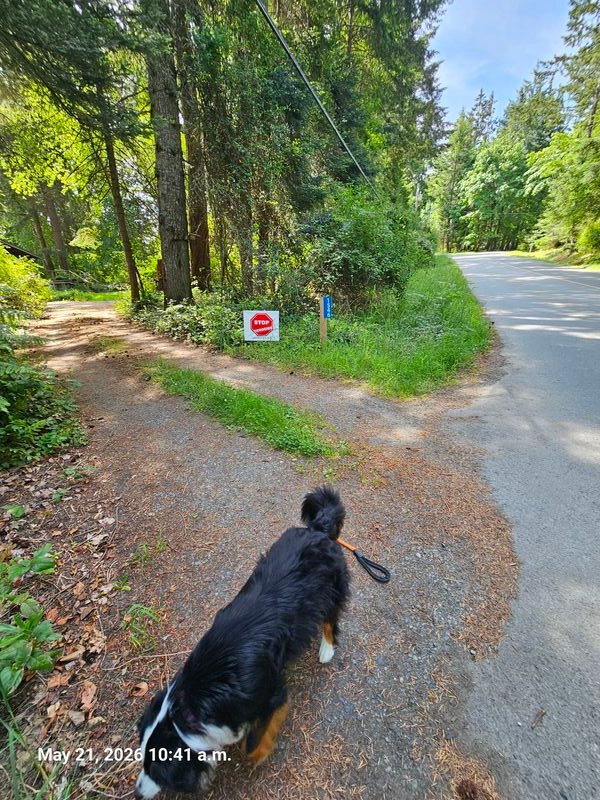 Stop Genocide sign on Whalebone Drive, Gabriola - with Zoe